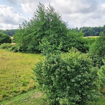 Apartmán Wohnanlage 